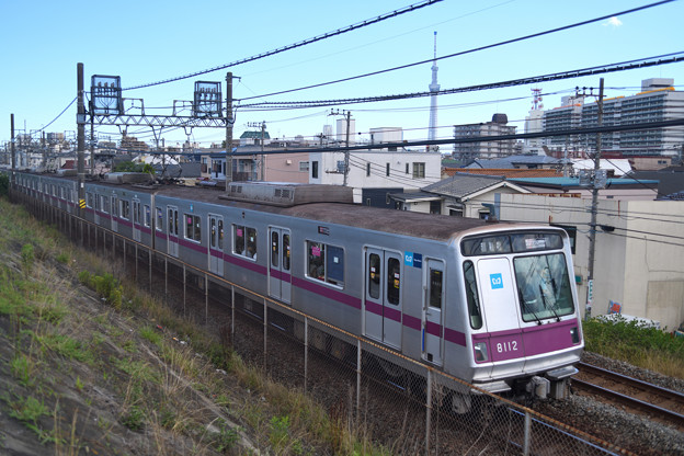 東京メトロ8000系電車と東京スカイツリー