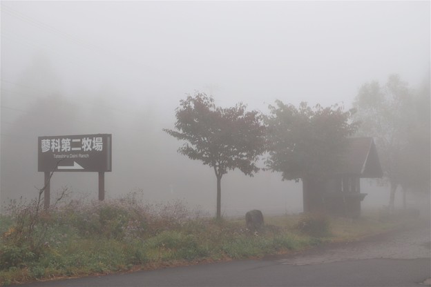濃霧の蓼科第二牧場入口