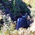 善五郎の滝を眺望