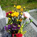 Photos: 母の日のお墓参り・・・