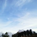 Photos: 冬の空