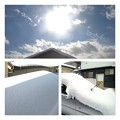 Photos: 雪