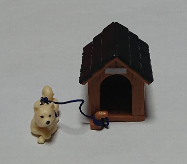 柴犬と犬小屋