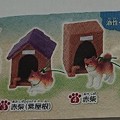 Photos: 柴犬と犬小屋