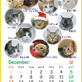 Happy &amp; Lovely Friends Calender 2009最新版にゃ！