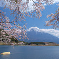 田貫湖に来た春。