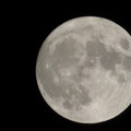 Photos: 名月を撮ってくれよとコンデジで。