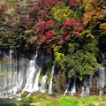 Photos: 滝飾る紅葉。