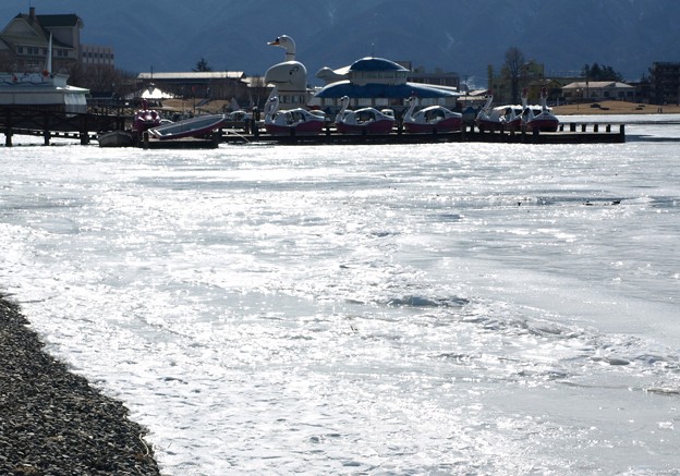 Photos: 氷る諏訪湖は氷らない。