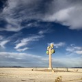 Photos: 砂漠のオブジェ