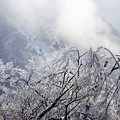 Photos: 凍る山