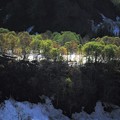Photos: 5月雪解け風景　2