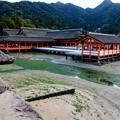 Photos: 海に浮かぶ神社-広島県廿日市市：厳島神社