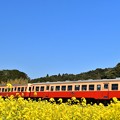 小湊鉄道の春景色2018b