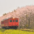 Photos: いすみ鉄道の急行2018春(トリミング前の元ネタ)