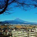 一月十日の富士山
