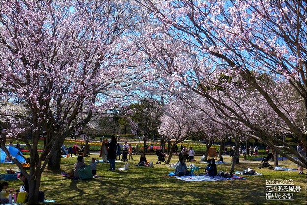 木曽三川公園センター 8 写真共有サイト フォト蔵