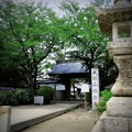 Photos: 大塚山性海寺