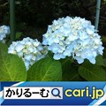 Photos: 人気の家計簿アプリ！　cari.jp