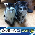 Photos: ３密（密閉、密集、密接）の回避　店が変わった　cari.jp