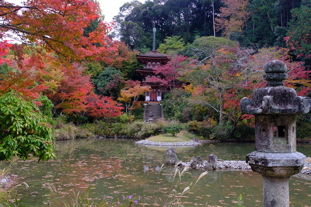 浄土式庭園