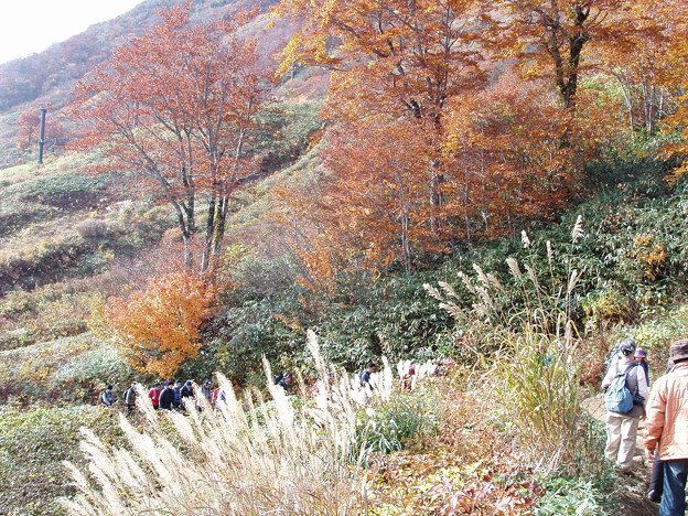秋の登山道