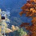 Photos: 谷川岳の紅葉