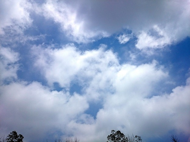 梅雨の晴れ間の雲