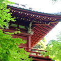 Photos: 紫陽花寺の守り神