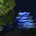 Photos: 夜の姫路城