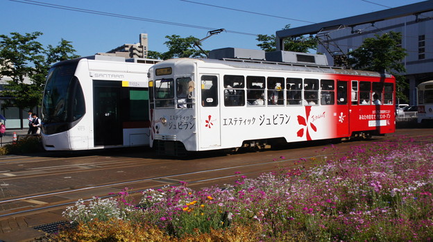 富山地鉄 T102と7019