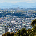 尾張戸神社の展望台から見た景色 - 16：桃花台ニュータウン