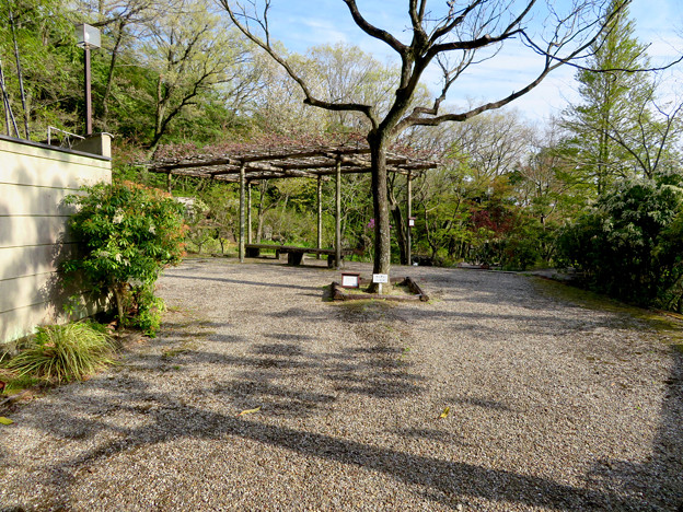 春日井市都市緑化植物園 万葉苑 3 写真共有サイト フォト蔵