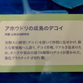 Photos: 名古屋市科学館「絶滅動物研究所」展 No - 125：アホウドリ復活プロジェクトで用いられた模型（デコイ）の説明
