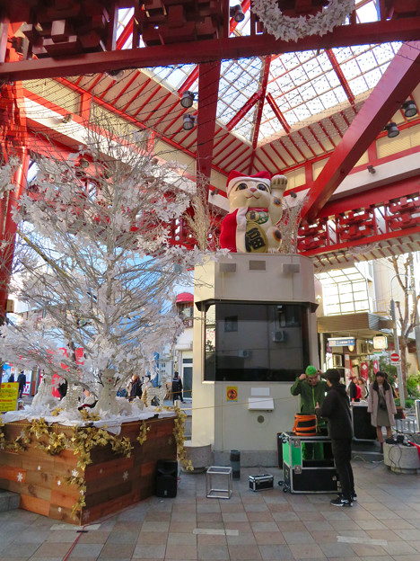大須商店街：クリスマス装飾になってた招き猫広場の招き猫 - 1