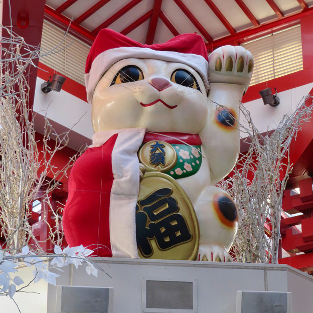 大須商店街：クリスマス装飾になってた招き猫広場の招き猫 - 2