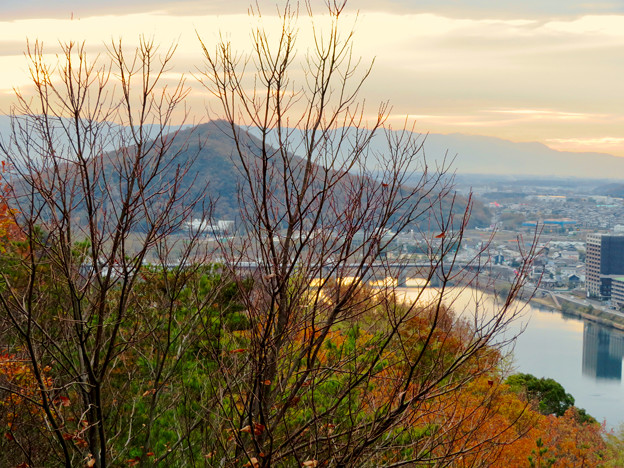 犬山善光寺の展望台から見た景色 No - 12：紅葉した木々越しに見た伊木山と木曽川