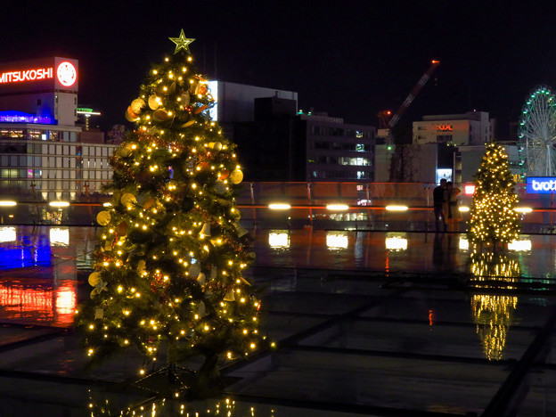 オアシス21：今年のクリスマスイルミネーションは沢山のツリーが並ぶ「ウォーターツリークリスマス」- 7