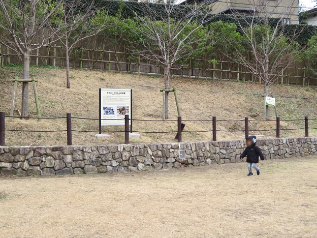 東山動植物園：旧アジアゾウ舎跡地に整備された「マカニーとエルドの広場」- 1