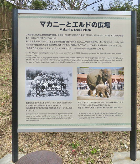 Photos: 東山動植物園：旧アジアゾウ舎跡地に整備された「マカニーとエルドの広場」- 2