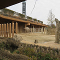 Photos: 東山動植物園のアジアゾウ舎「ゾージアム」 - 4