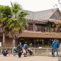 Photos: 東山動植物園のアジアゾウ舎「ゾージアム」 - 15