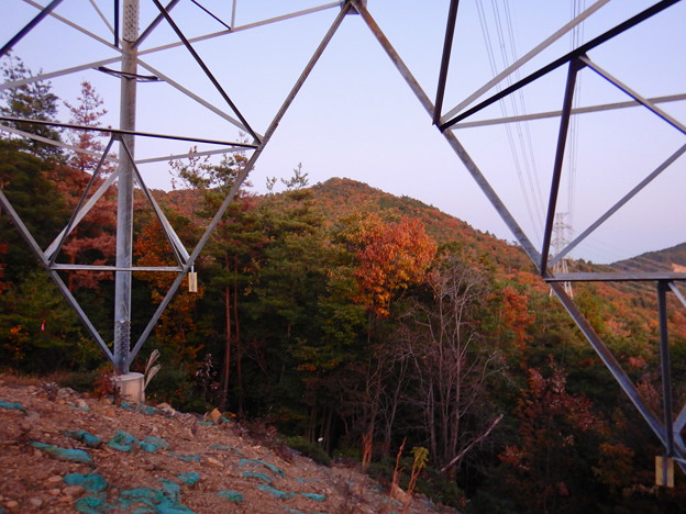 大谷山の送電線鉄塔下 - 2：紅葉した道樹山山頂