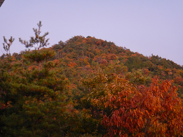 大谷山の送電線鉄塔下 - 3：紅葉した道樹山山頂