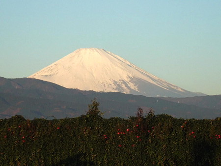 富士山