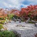 Photos: 京の秋　３
