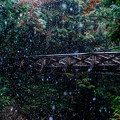 Photos: 雪の中の橋