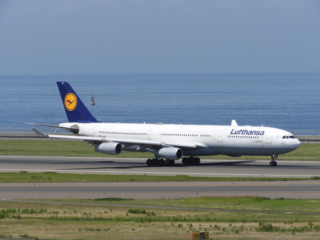 DLH A340-300