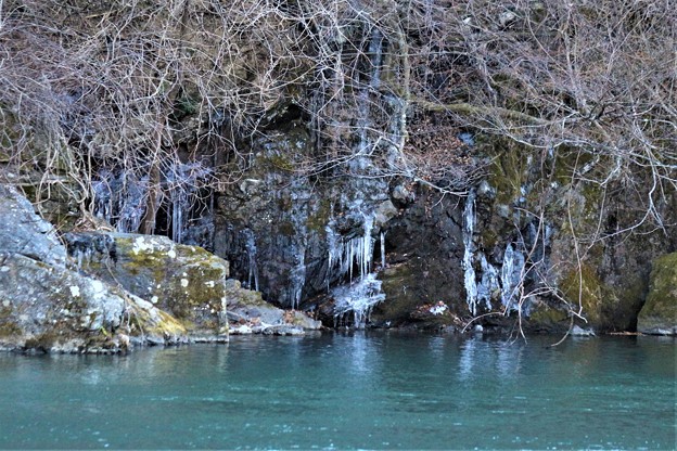 Photos: 川辺の氷柱