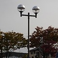 Photos: 街灯と街路樹（10月28日）